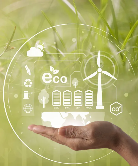 Agro waste biomass pellets